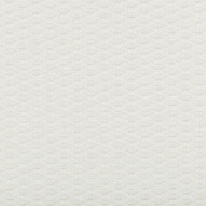 Tp-290817 101 TP-290817.101.0 by Kravet Design Fabric