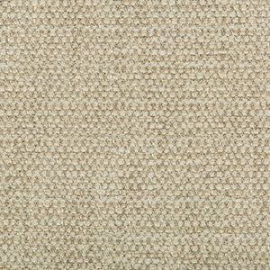 Tp-290864 16 TP-290864.16.0 by Kravet Design Fabric