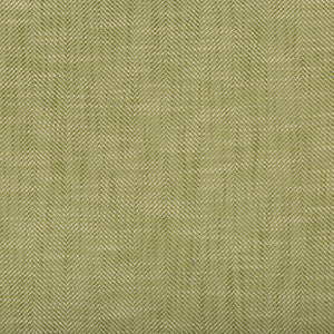 Tp-290903 3 TP-290903.3.0 by Kravet Design Fabric