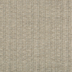 Tp-290945 11 TP-290945.11.0 by Kravet Design Fabric