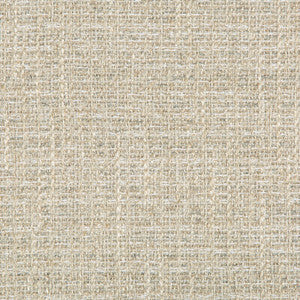 Tp-290947 11 TP-290947.11.0 by Kravet Design Fabric