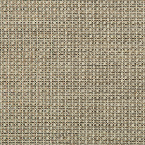 Tp-291004 1611 TP-291004.1611.0 by Kravet Design Fabric