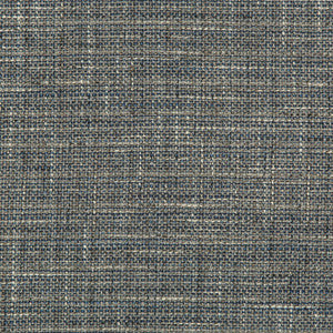 Tp-291124 50 TP-291124.50.0 by Kravet Design Fabric