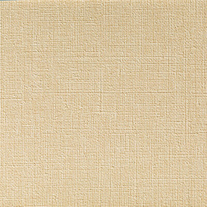 Tp-314776 111 TP-314776.111.0 by Kravet Contract Fabric