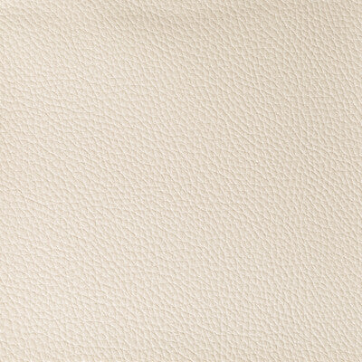 Kravet Contract Upholstery TP-319776.116.0 Upholstery POLY VINYL CHLORIDE - 100% China </p><p>Repeat: H: , V: 27.5 21 - My Fabric Connection -