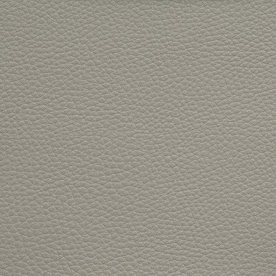 Kravet Contract Upholstery TP-319776.1611.0 Upholstery POLY VINYL CHLORIDE - 100% China </p><p>Repeat: H: , V: 27.5 21 - My Fabric Connection -