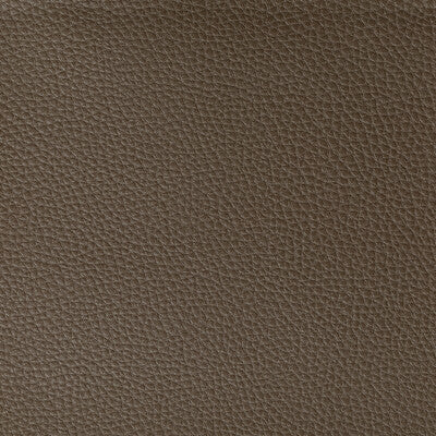 Kravet Contract Upholstery TP-319776.606.0 Upholstery POLY VINYL CHLORIDE - 100% China </p><p>Repeat: H: , V: 27.5 21 - My Fabric Connection -