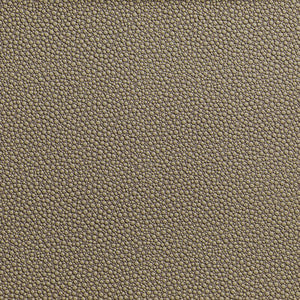 Tp-319953 106 TP-319953.106.0 by Kravet Contract Fabric
