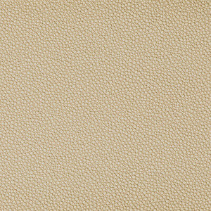 Tp-319953 1606 TP-319953.1606.0 by Kravet Contract Fabric