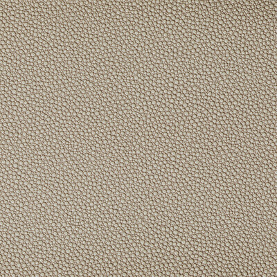 Kravet Contract Upholstery TP-319953.1616.0 Upholstery POLY VINYL CHLORIDE - 100% China </p><p>Repeat: H: , V: 27.5 21 - My Fabric Connection -