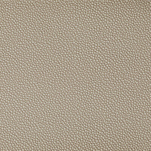 Tp-319953 1616 TP-319953.1616.0 by Kravet Contract Fabric