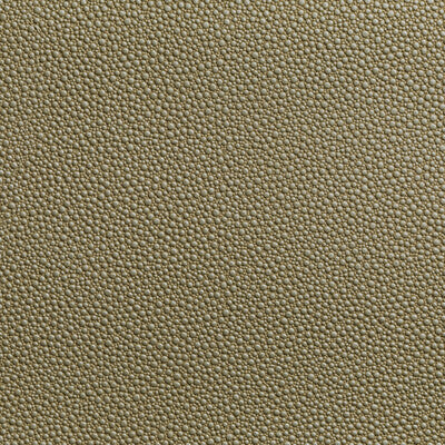 Kravet Contract Upholstery TP-319953.16.0 Upholstery POLY VINYL CHLORIDE - 100% China </p><p>Repeat: H: , V: 27.5 21 - My Fabric Connection -