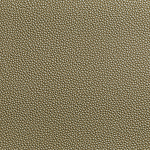 Tp-319953 16 TP-319953.16.0 by Kravet Contract Fabric
