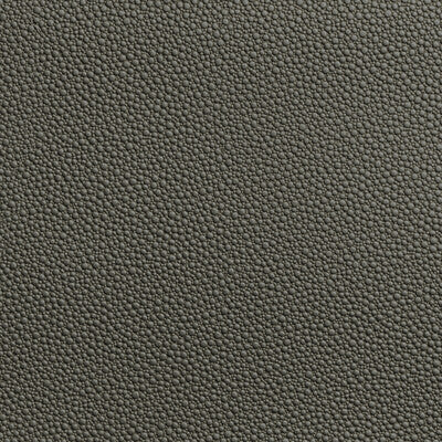 Kravet Contract Upholstery TP-319953.21.0 Upholstery POLY VINYL CHLORIDE - 100% China </p><p>Repeat: H: , V: 27.5 21 - My Fabric Connection -