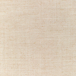 Tp-330747 1161 TP-330747.1161.0 by Kravet Smart Fabric