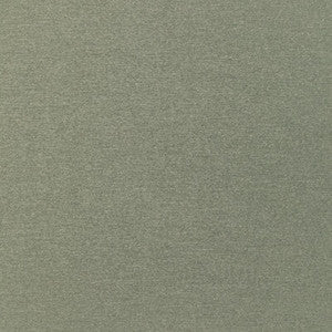 Tp-330910 311 TP-330910.311.0 by Kravet Smart Fabric
