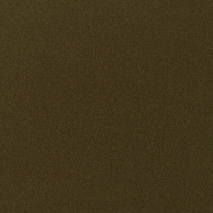 Tp-330910 34 TP-330910.34.0 by Kravet Smart Fabric