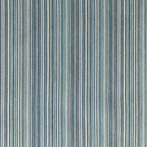 Tp-333044 550 TP-333044.550.0 by Kravet Design Fabric