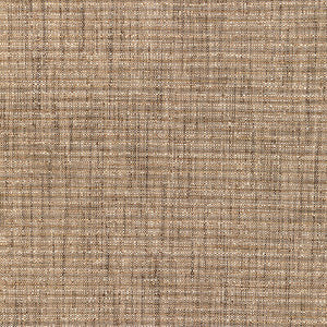 Tp-335170 16 TP-335170.16.0 by Kravet Smart Fabric