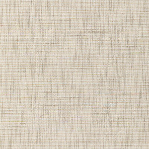 Tp-335170 1 TP-335170.1.0 by Kravet Smart Fabric