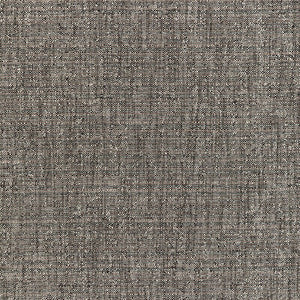 Tp-335170 21 TP-335170.21.0 by Kravet Smart Fabric