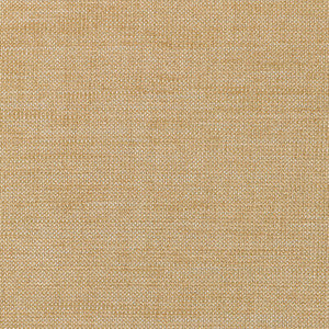 Tp-335297 16 TP-335297.16.0 by Kravet Smart Fabric