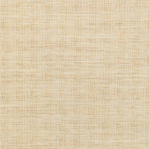 Tp-335298 16 TP-335298.16.0 by Kravet Smart Fabric
