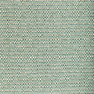 Tp-340260 1311 TP-340260.1311.0 by Kravet Design Fabric