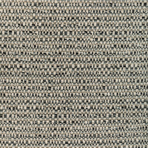Tp-340260 811 TP-340260.811.0 by Kravet Design Fabric