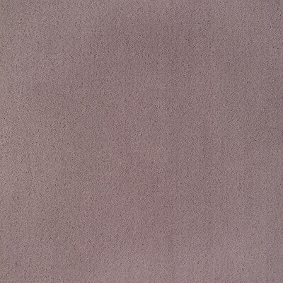 Kravet Contract Upholstery TP-342440.110.0 Upholstery POLYESTER - 100% China </p><p>Repeat: H: , V: 27.5 21 - My Fabric Connection -