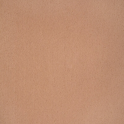 Kravet Contract Upholstery TP-342440.12.0 Upholstery POLYESTER - 100% China </p><p>Repeat: H: , V: 27.5 21 - My Fabric Connection -