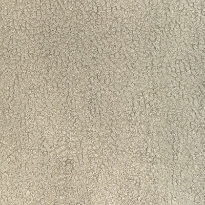 Kravet Smart Upholstery TP-349942.111.0 Upholstery POLYESTER - 100% China </p><p>Repeat: H: , V: 27.5 21 - My Fabric Connection -