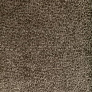 Tp-349962 6 TP-349962.6.0 by Kravet Smart Fabric