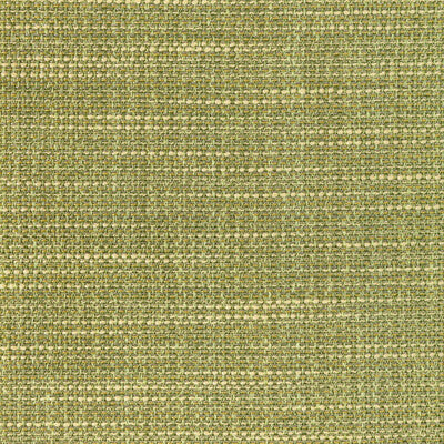 Kravet Contract Drapery TP-350002.314.0 Drapery POLYESTER FR - 100% India </p><p>Repeat: H: , V: 27.5 21 - My Fabric Connection -