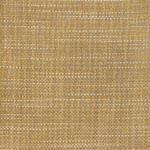 Tp-350002 411 TP-350002.411.0 by Kravet Contract Fabric