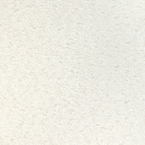 Tp-353863 101 TP-353863.101.0 by Kravet Contract Fabric