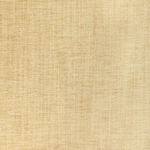 Tp-354483 1116 TP-354483.1116.0 by Kravet Smart Fabric