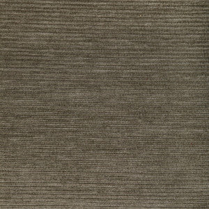 Tp-354523 106 TP-354523.106.0 by Kravet Smart Fabric