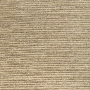 Tp-354523 1116 TP-354523.1116.0 by Kravet Smart Fabric
