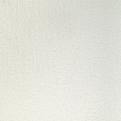 Kravet Smart Upholstery TP-362217.111.0 Upholstery POLYESTER - 100% India </p><p>Repeat: H: , V: 27.5 21 - My Fabric Connection -