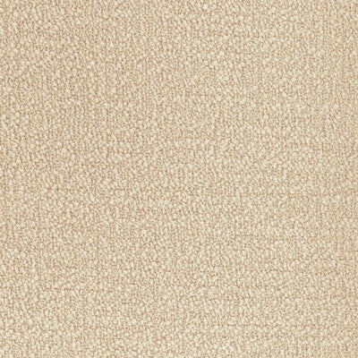 Kravet Smart Upholstery TP-362217.116.0 Upholstery POLYESTER - 100% India </p><p>Repeat: H: , V: 27.5 21 - My Fabric Connection -