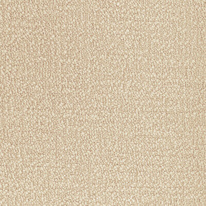 Tp-362217 116 TP-362217.116.0 by Kravet Smart Fabric