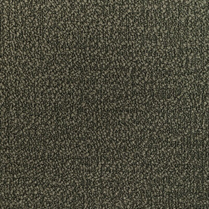 Tp-362217 323 TP-362217.323.0 by Kravet Smart Fabric