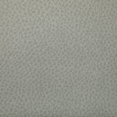 Kravet Contract Upholstery TP-364372.1101.0 Upholstery POLYURETHANE - 95%;SILICONE - 5% Taiwan </p><p>Repeat: H: , V: 27.5 21 - My Fabric Connection -