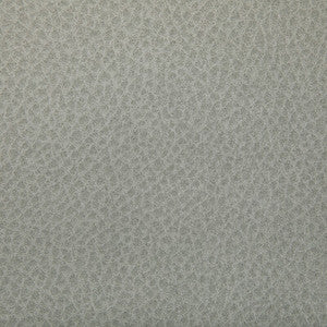 Tp-364372 1101 TP-364372.1101.0 by Kravet Contract Fabric