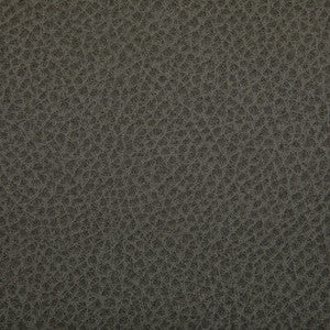 Tp-364372 1121 TP-364372.1121.0 by Kravet Contract Fabric