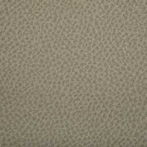 Tp-364372 121 TP-364372.121.0 by Kravet Contract Fabric