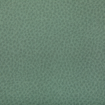 Kravet Contract Upholstery TP-364372.130.0 Upholstery POLYURETHANE - 95%;SILICONE - 5% Taiwan </p><p>Repeat: H: , V: 27.5 21 - My Fabric Connection -