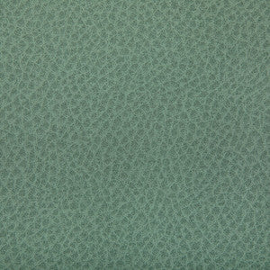 Tp-364372 130 TP-364372.130.0 by Kravet Contract Fabric