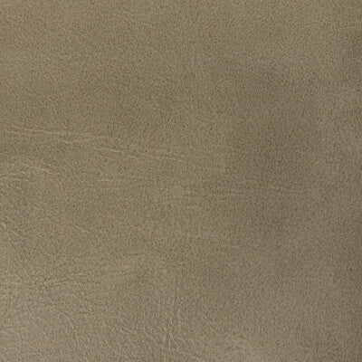 Kravet Contract Upholstery TP-366997.106.0 Upholstery PVC - ARTIFICIAL LEATHER - 100% China </p><p>Repeat: H: , V: 27.5 21 - My Fabric Connection -
